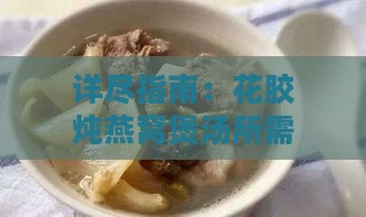 详尽指南：花胶炖燕窝煲汤所需材料及搭配秘诀