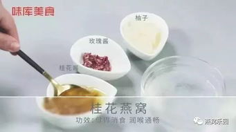 燕窝炖煮全攻略：揭秘炖燕窝时添加的食材与调味品