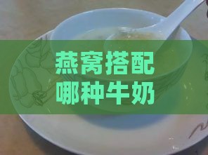 燕窝搭配哪种牛奶烹饪效果更佳：全面解析不同牛奶对燕窝口感与营养的影响