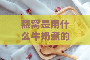 燕窝是用什么牛奶煮的好吃：探讨更佳牛奶选择炖煮燕窝口感更佳