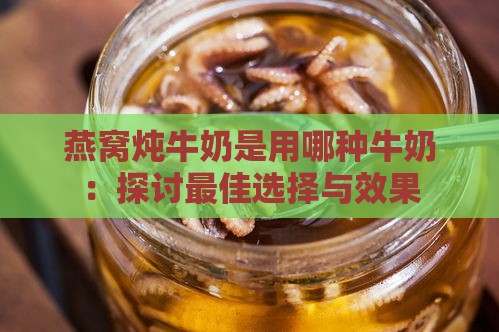 燕窝炖牛奶是用哪种牛奶：探讨更佳选择与效果