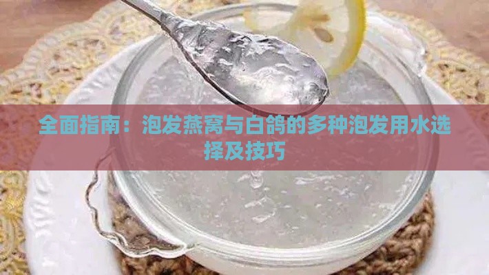 全面指南：泡发燕窝与白鸽的多种泡发用水选择及技巧