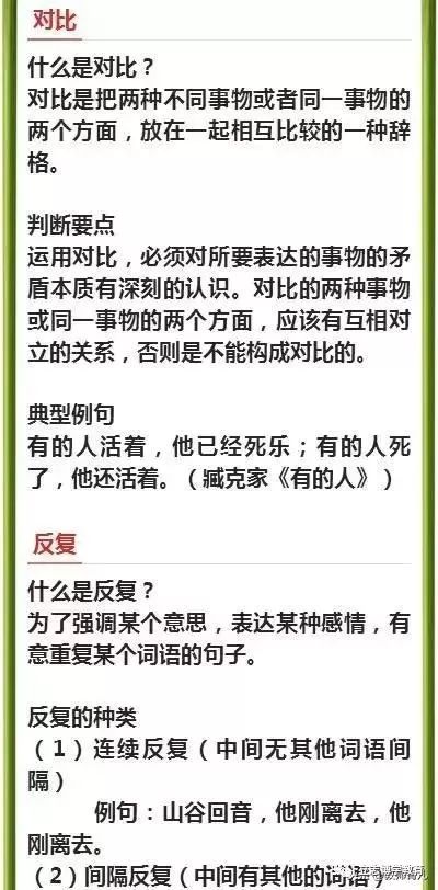 燕窝的另一种含义：别称与深层含义解析