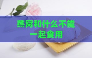 燕窝和什么不能一起食用