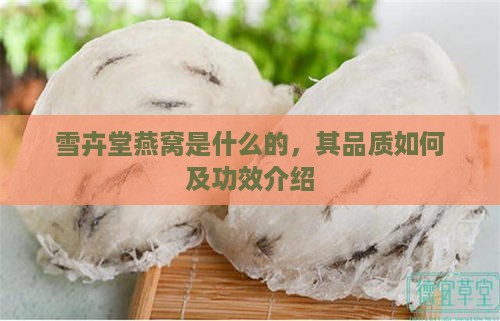 雪卉堂燕窝是什么的，其品质如何及功效介绍