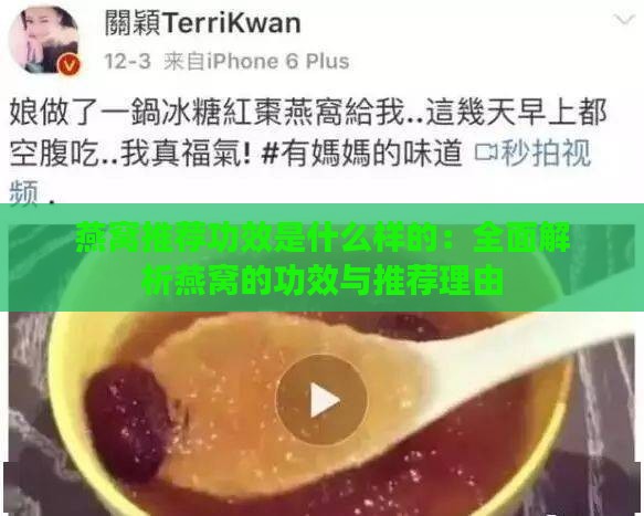 燕窝推荐功效是什么样的：全面解析燕窝的功效与推荐理由