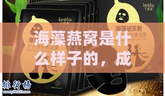 海藻燕窝是什么样子的，成分对比及海藻面膜与燕窝面膜优劣分析