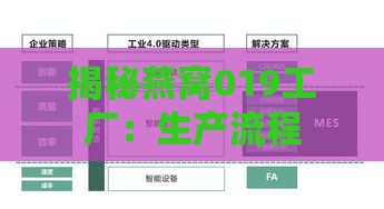 揭秘燕窝019工厂：生产流程、产品标准与行业揭秘