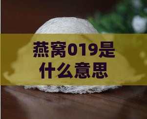 燕窝019是什么意思啊