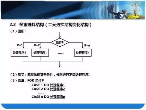 燕窝的生产工艺：流程、技术规范及制作过程全解析