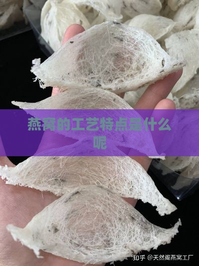 燕窝的工艺特点是什么呢