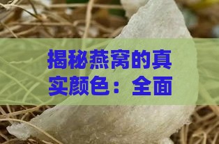 揭秘燕窝的真实颜色：全面解析燕窝颜色与品质的关系