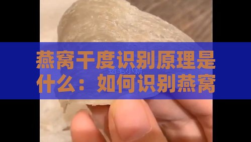 燕窝干度识别原理是什么：如何识别燕窝干度及其原理详解