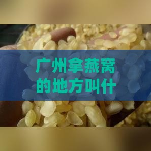 广州拿燕窝的地方叫什么