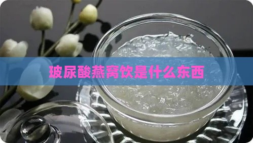 玻尿酸燕窝饮是什么东西