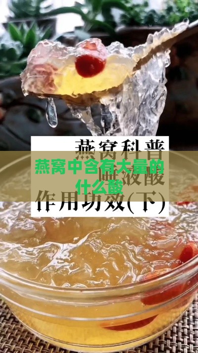 燕窝中含有大量的什么酸