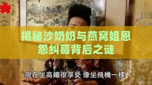 揭秘沙奶奶与燕窝姐恩怨纠葛背后之谜