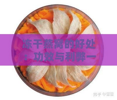 冻干燕窝的好处：功效与利弊一览