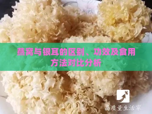 燕窝与银耳的区别、功效及食用方法对比分析