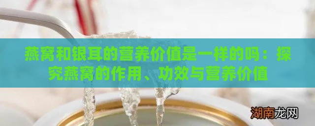 燕窝和银耳的营养价值是一样的吗：探究燕窝的作用、功效与营养价值