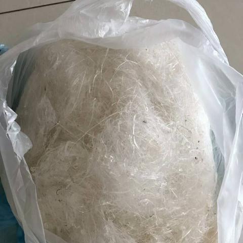 揭秘雪燕的来源：它生长在哪些树上及其生态环境解析