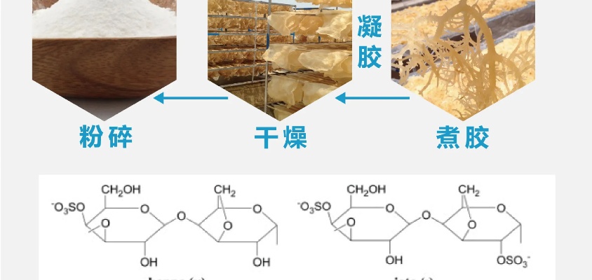 揭秘燕窝中的卡拉胶：由半乳糖与脱水半乳糖构成的多糖成分解析