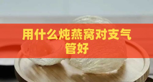 用什么炖燕窝对支气管好