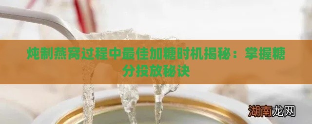 炖制燕窝过程中更佳加糖时机揭秘：掌握糖分投放秘诀