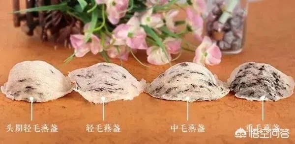 探究燕窝颜色：不同季节燕窝的白度对比与选购指南