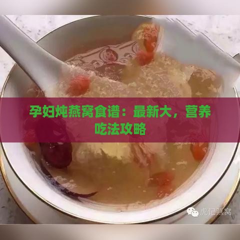 孕妇炖燕窝食谱：最新大，营养吃法攻略