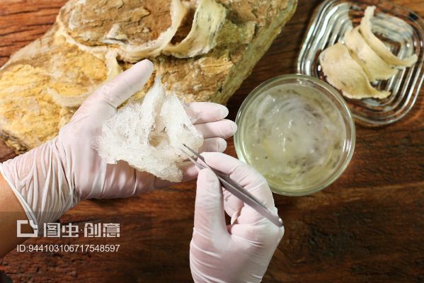 燕窝制作原料揭秘与多种食用方法全面解析