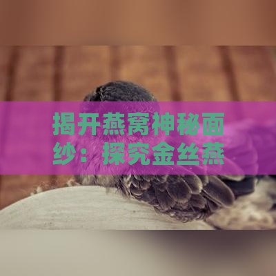 揭开燕窝神秘面纱：探究金丝燕唾液提炼之谜