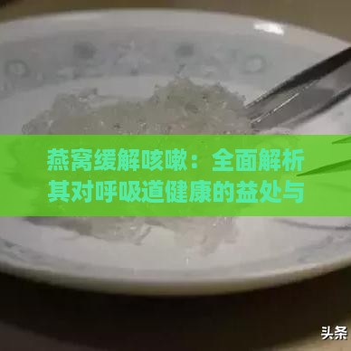 燕窝缓解咳嗽：全面解析其对呼吸道健康的益处与作用机制