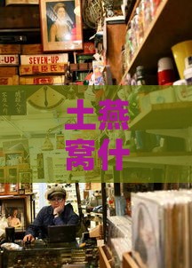 土燕窝什么相机店铺好卖些：推荐热销相机店铺排行榜