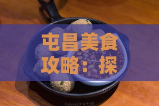 屯昌美食攻略：探寻当地特色小吃与地道美味全览