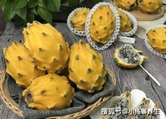 燕窝果的毛刺有什么作用呢：探讨其独特功能与生物学意义