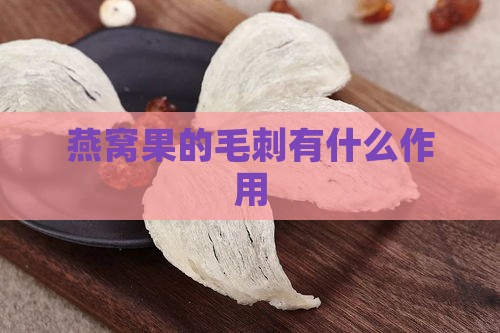 燕窝果的毛刺有什么作用