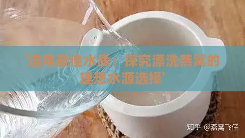 '选用更佳水质：探究漂洗燕窝的理想水源选择'