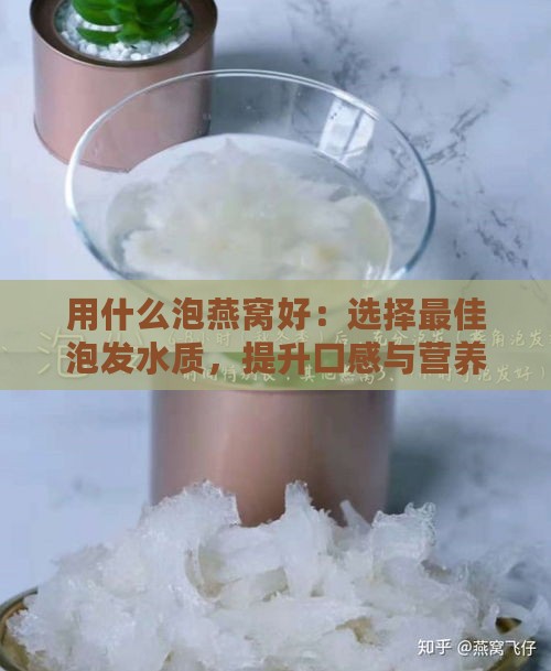 用什么泡燕窝好：选择更佳泡发水质，提升口感与营养