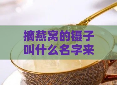 摘燕窝的镊子叫什么名字来着：详解其名称与用途