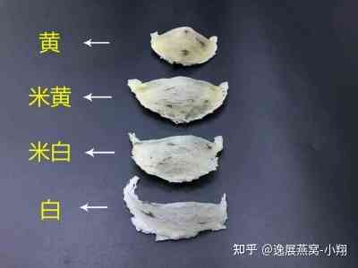 漂白燕窝和正常燕窝的对比：外观与品质差异解析