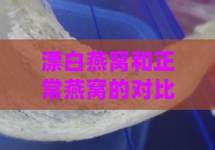 漂白燕窝和正常燕窝的对比：外观与品质差异解析