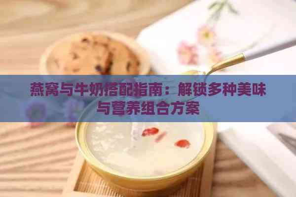 燕窝与牛奶搭配指南：解锁多种美味与营养组合方案