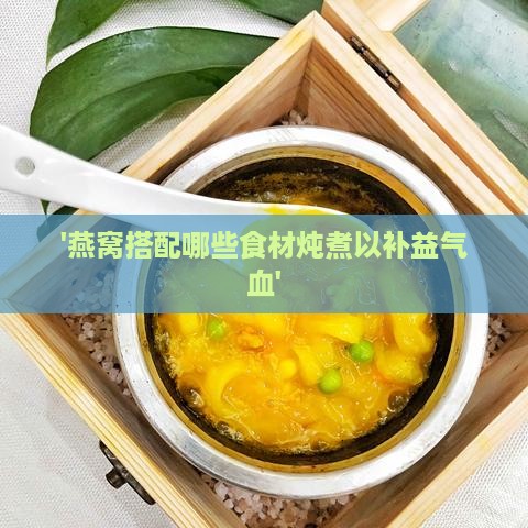 '燕窝搭配哪些食材炖煮以补益气血'