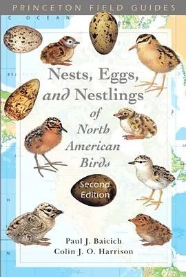 What Are the Benefits and Uses of Edible Bird's Nest?