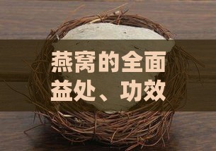 燕窝的全面益处、功效与潜在健康作用解析