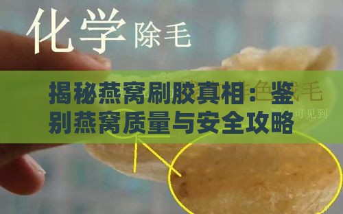 揭秘燕窝刷胶真相：鉴别燕窝质量与安全攻略