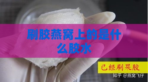 刷胶燕窝上的是什么胶水