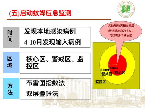 揭秘燕窝：起因、发展、影响及消费者应对策略全解析