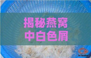 揭秘燕窝中白色屑的成因、成分及食用安全性